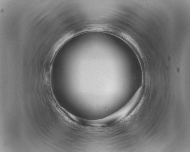 X0000062141481200512091202