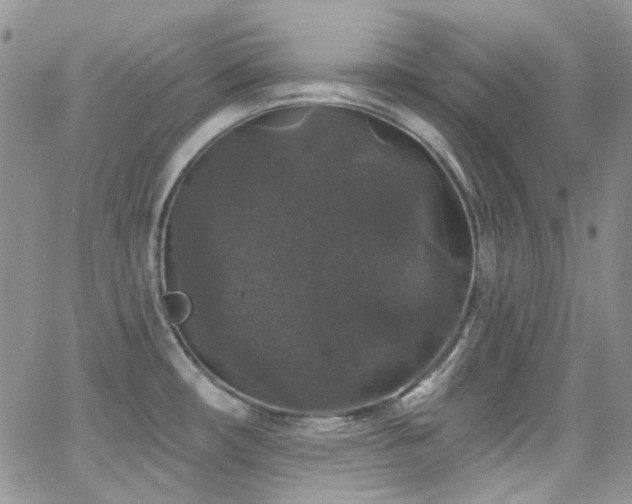 X0000062141482200512091202