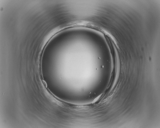 X0000062141483200512091202