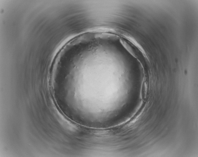 X0000062141484200512091202