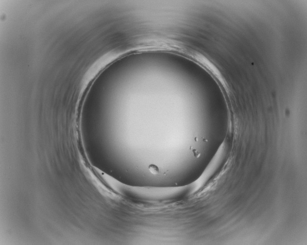 X0000062141485200512091202