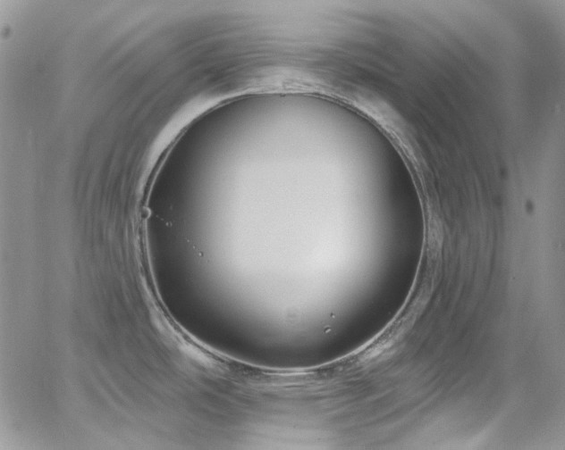 X0000062141486200512091202