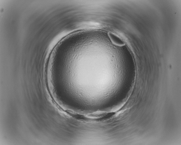 X0000062141488200512091202