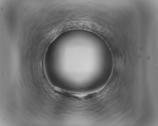 X0000062141489200512091201