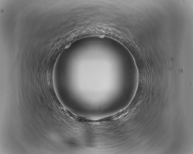 X0000062141490200512091201