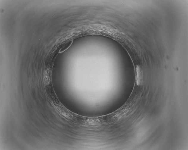 X0000062141491200512091201