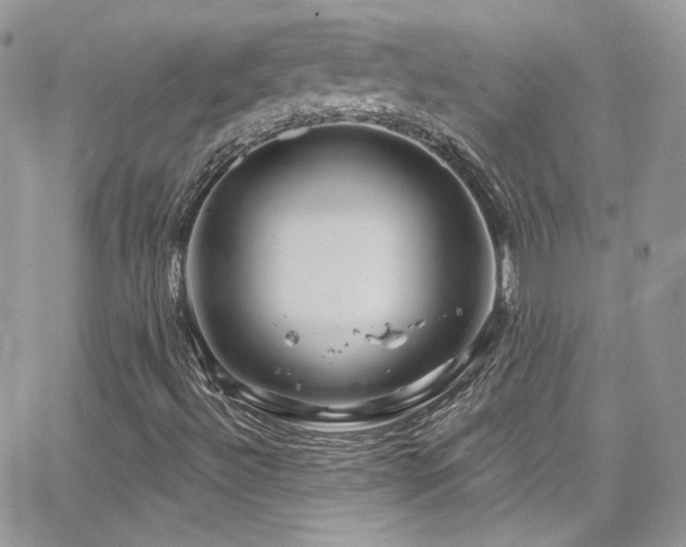 X0000062141492200512091201