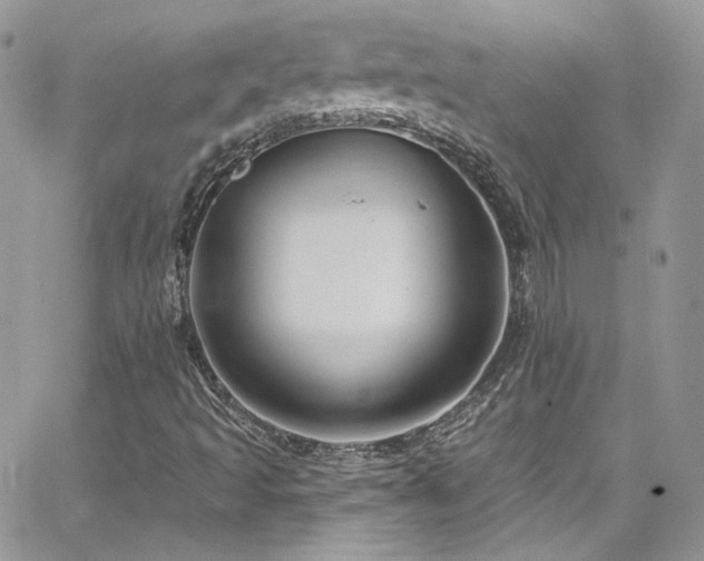 X0000062141493200512091201