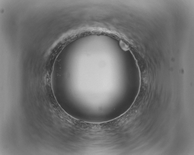 X0000062141495200512091201