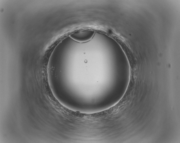 X0000062141496200512091201