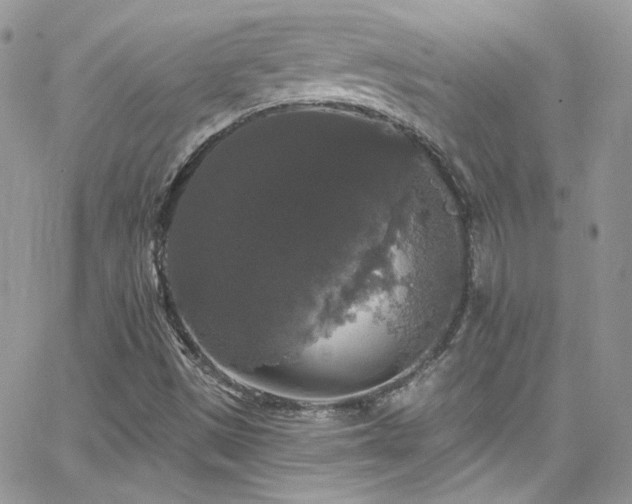 X0000062141497200512091201