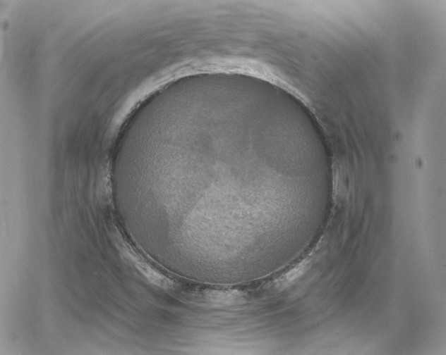 X0000062141498200512091201