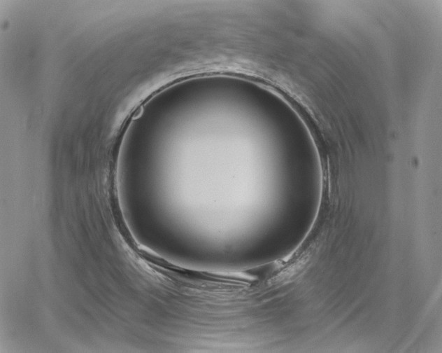 X0000062141500200512091202