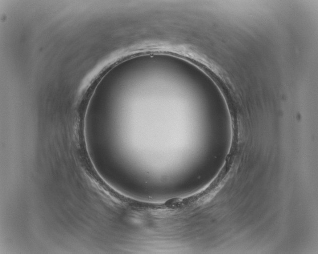 X0000062141502200512091202