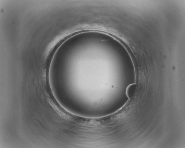 X0000062141503200512091202