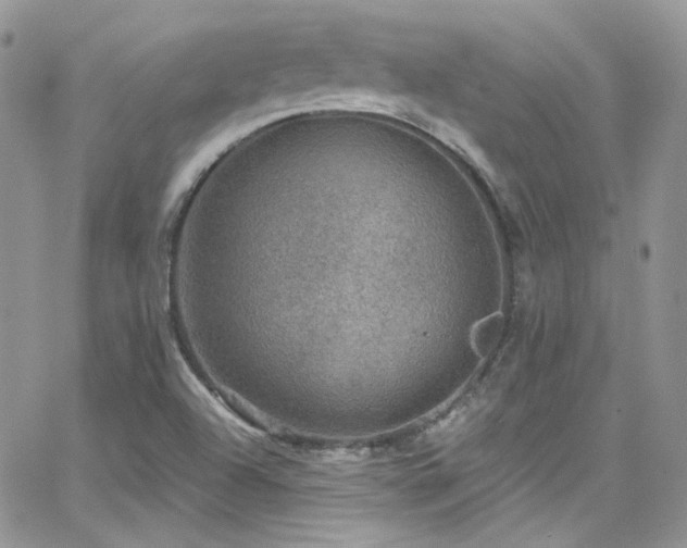 X0000062141504200512091202