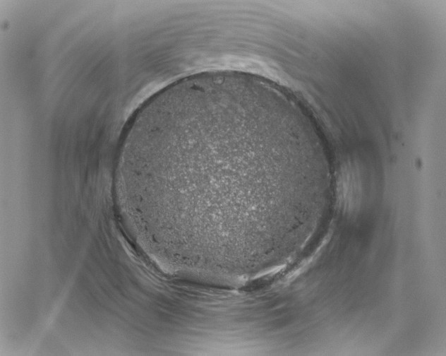 X0000062141505200512091202