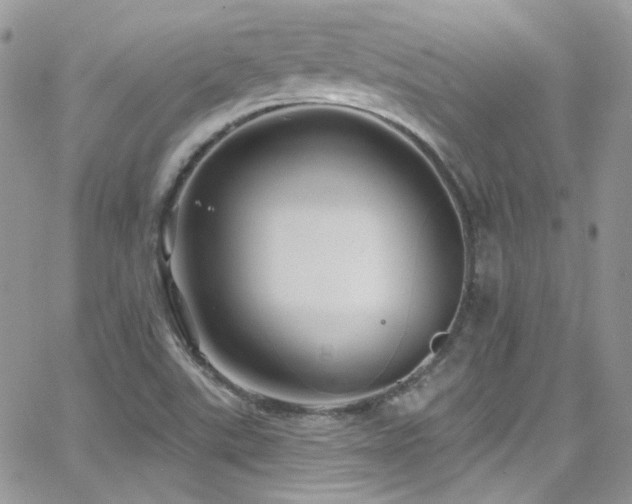 X0000062141507200512091202