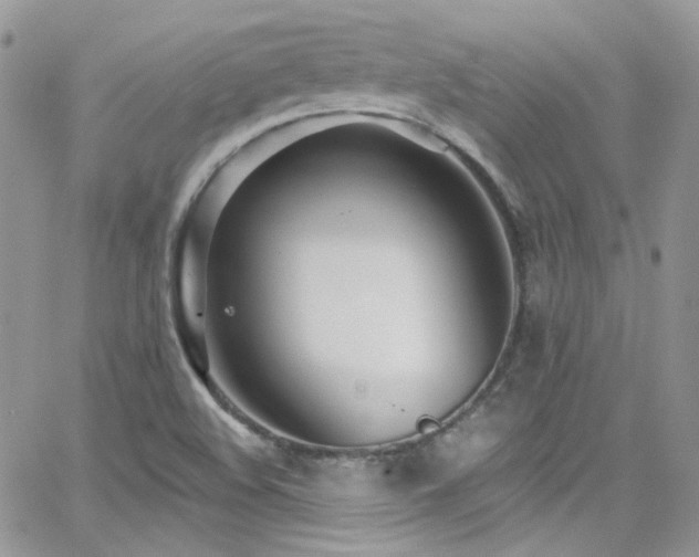 X0000062141508200512091202