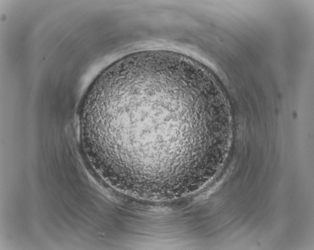 X0000062141509200512091202