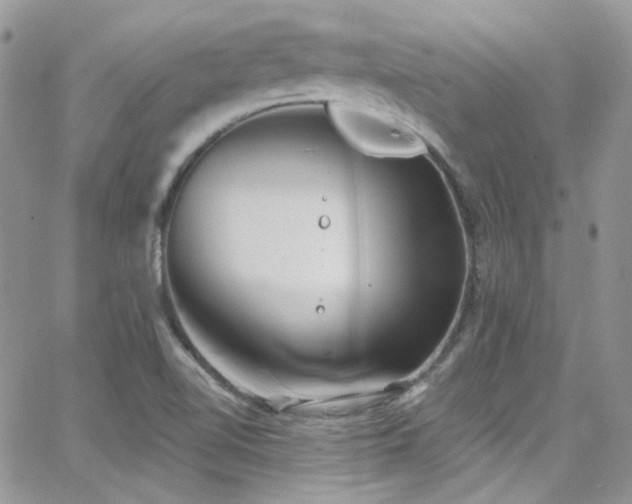 X0000062141510200512091202