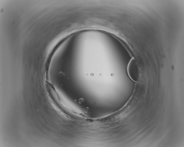 X0000062141511200512091202