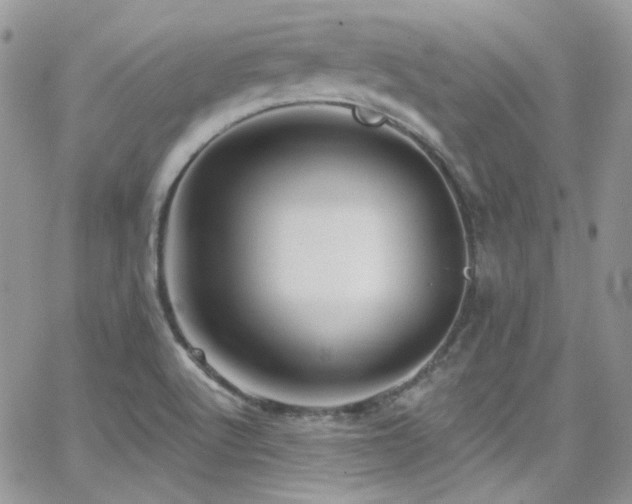 X0000062141512200512091202