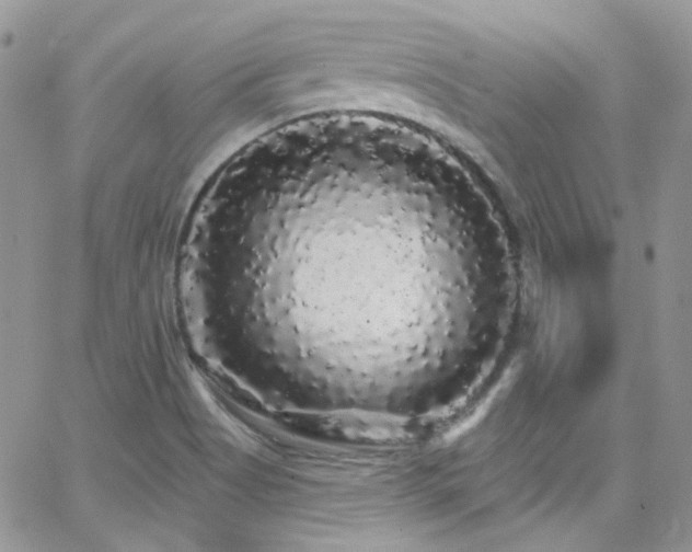 X0000062141513200512091202