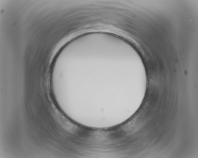 X0000062141514200512091202