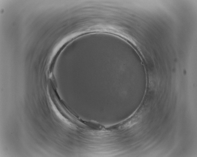 X0000062141515200512091202