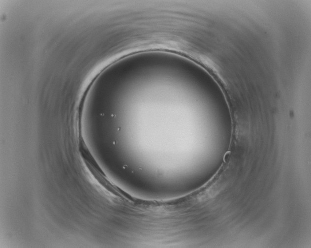 X0000062141516200512091202