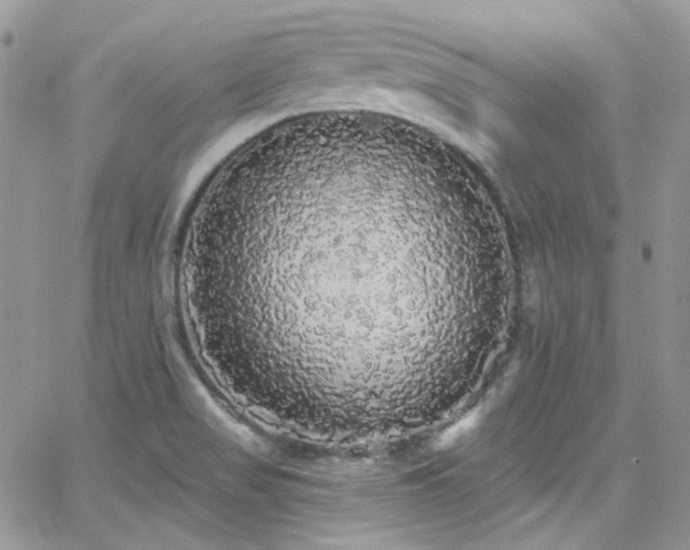 X0000062141517200512091202