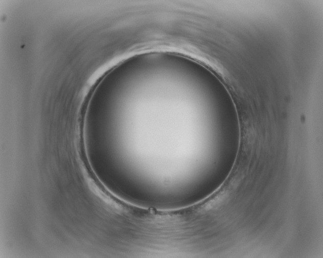 X0000062141518200512091202