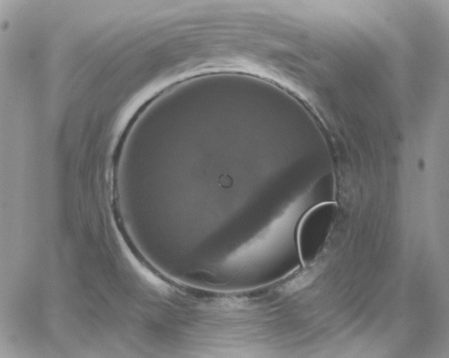 X0000062141519200512091202