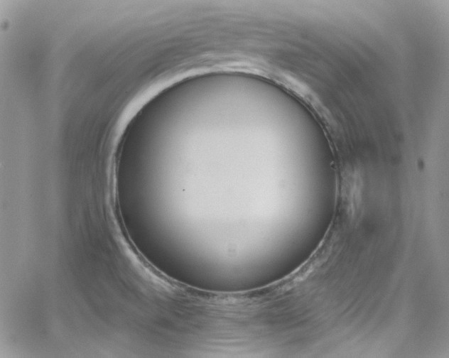 X0000062141520200512091202