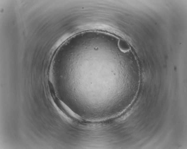 X0000062141521200512091202