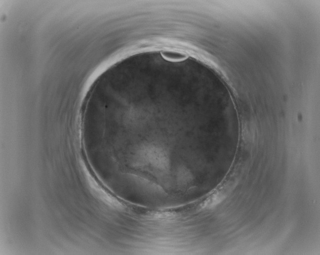 X0000062141522200512091202