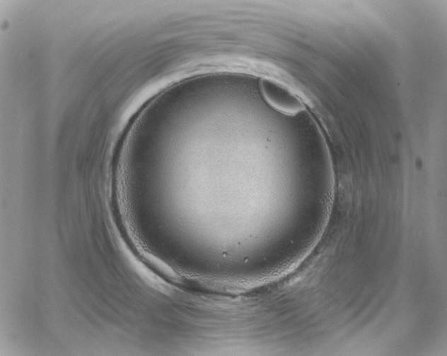 X0000062141523200512091202