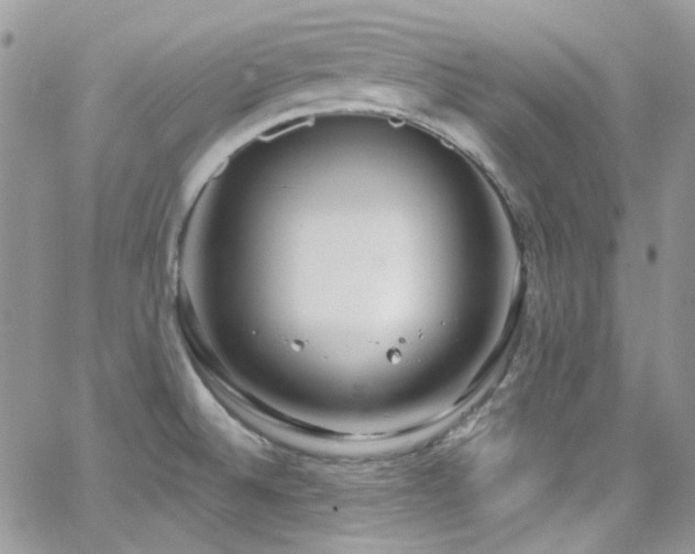 X0000062141524200512091202