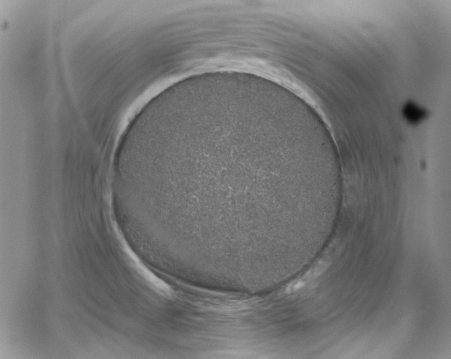 X0000062141525200512091202