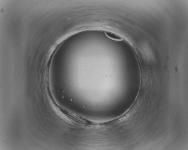 X0000062141526200512091202