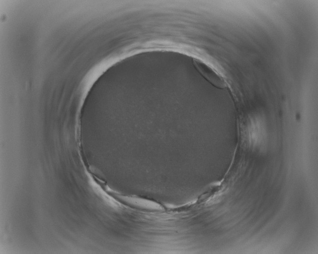 X0000062141527200512091202