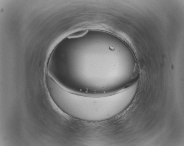 X0000062141528200512091202