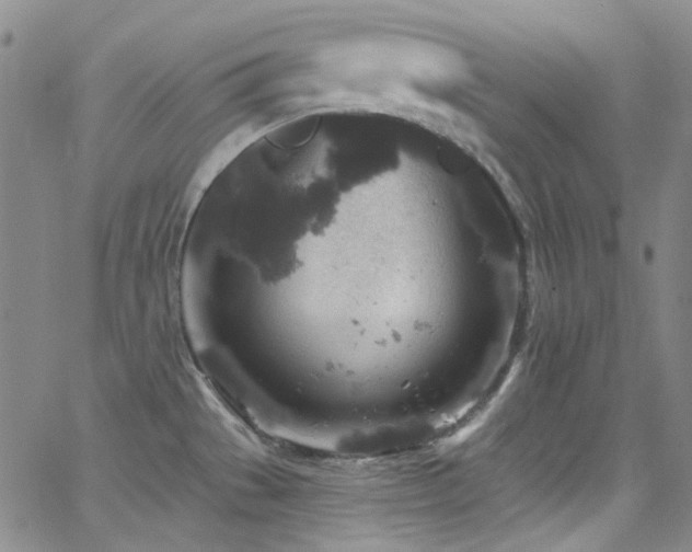 X0000062141529200512091202