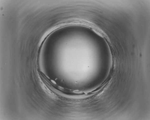 X0000062141530200512091202