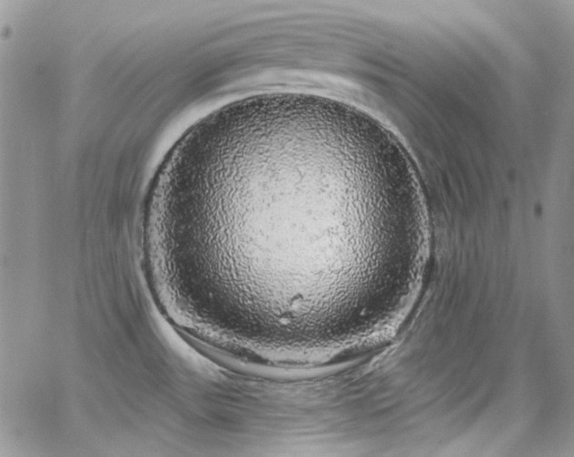 X0000062141531200512091202