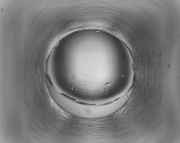 X0000062141532200512091202