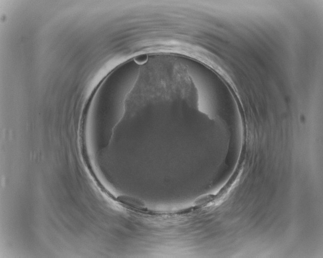 X0000062141533200512091202