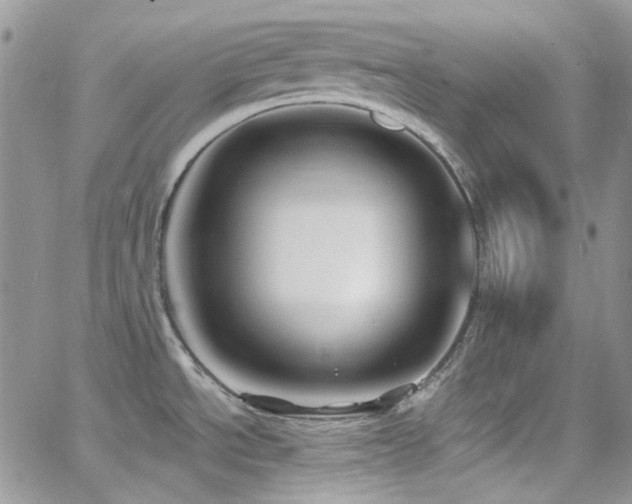 X0000062141534200512091202