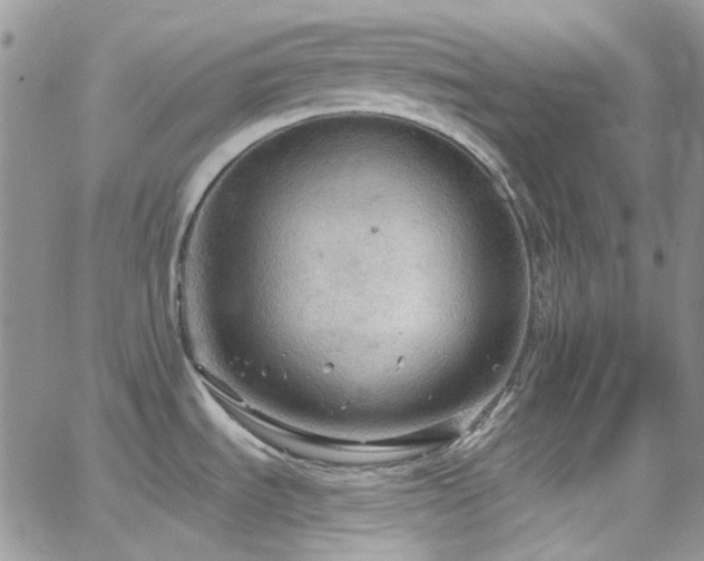 X0000062141535200512091202